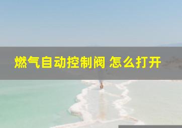 燃气自动控制阀 怎么打开